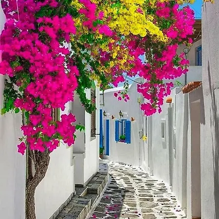 Melina's House Mykonos Town